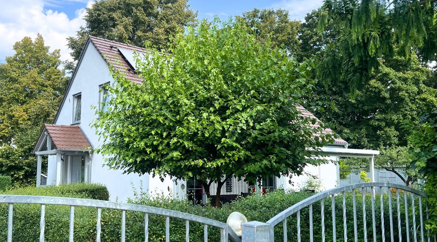 Hoyerswerda 2015